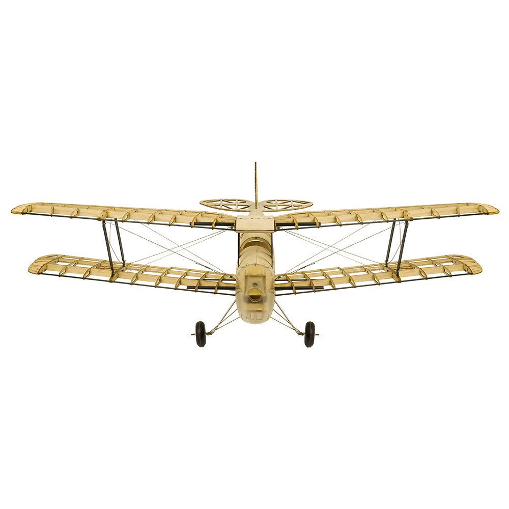 DW Hobby S19 Avión RC Tiger Mo - Rc Hobby Plane reseña y precio