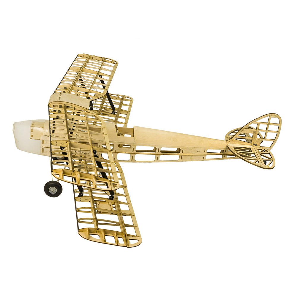 DW Hobby S19 Avión RC Tiger Mo - Rc Hobby Plane reseña y precio
