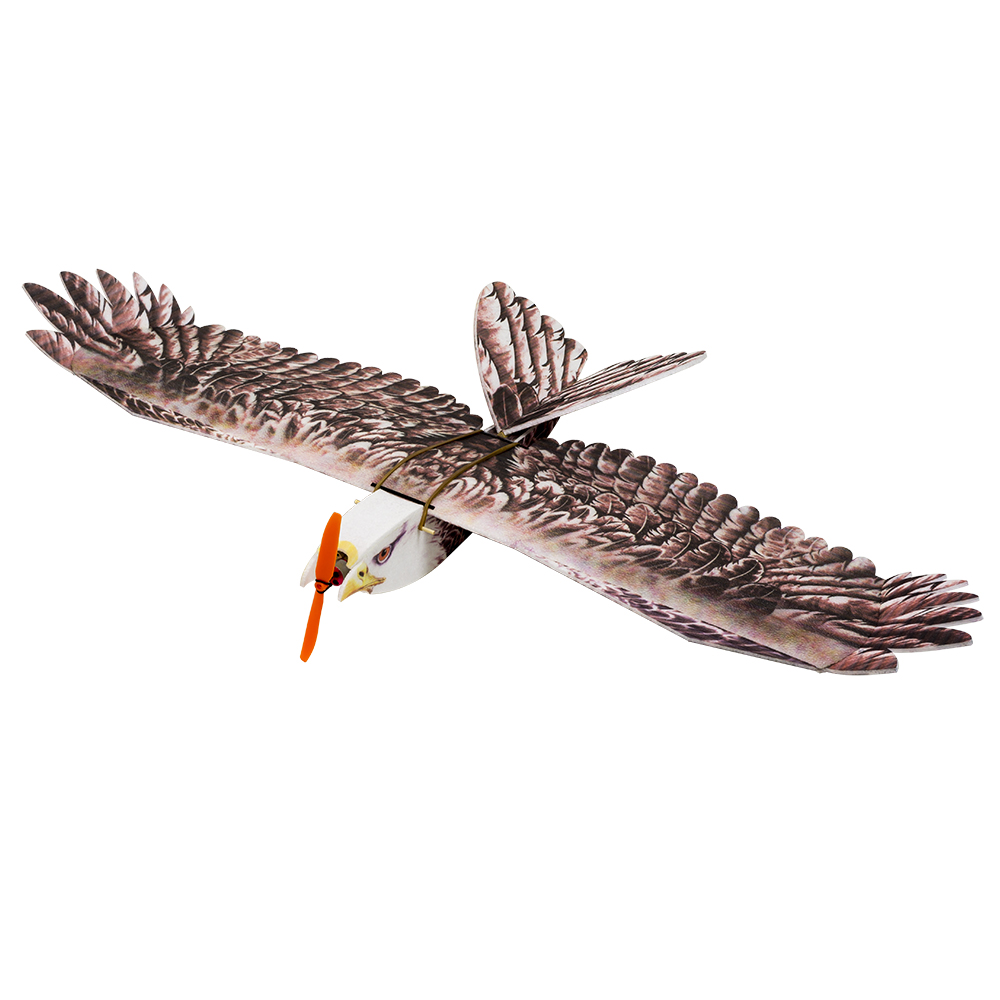 DW Hobby Eagle II EPP avión RC - Rc Hobby Plane reseña y precio